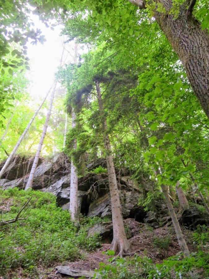 Chez Petit Gust Welkom In La Roche En Ardenne Dış mekan fotoğraf